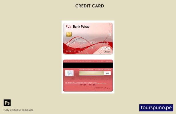 listo para imprimir plantilla de tarjeta clásica de visa bancaria de Polonia Ban